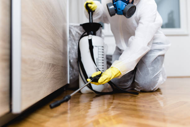 Best Emergency Pest Control  in Madison, SD