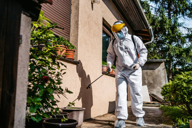 Best Pest Inspection Near Me  in Madison, SD