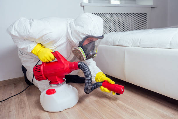 Best Termite Control Services  in Madison, SD