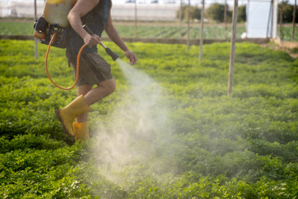 Best Residential Pest Control  in Madison, SD
