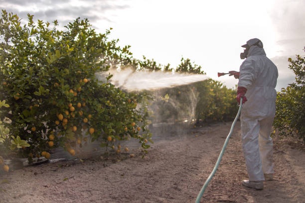 Best Bed Bug Extermination  in Madison, SD