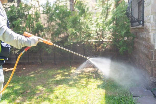 Best Wasp Removal Services  in Madison, SD