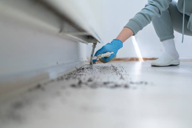 Best Wildlife Control Services  in Madison, SD