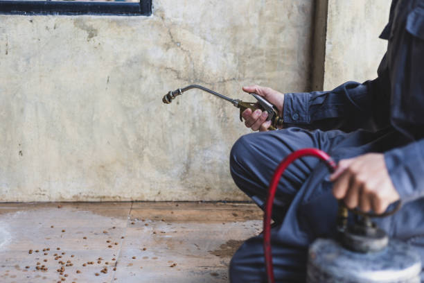 Best Mosquito Control Services  in Madison, SD